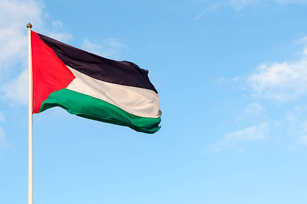 Flag of Palestine in the West Bank Palestinian flag and sky. Photo taken in the West Bank. palestinian territories stock pictures, royalty-free photos & images