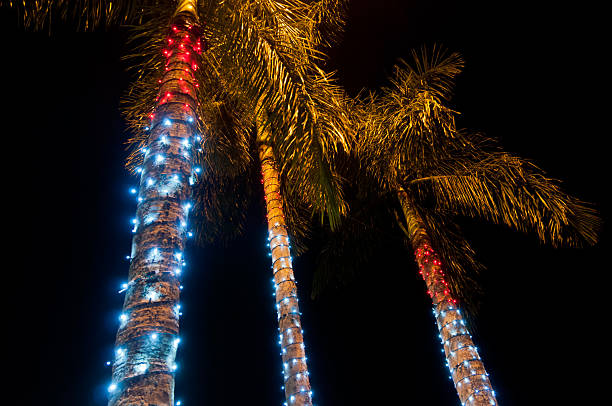 istock Christmas palm trees at night 174980087