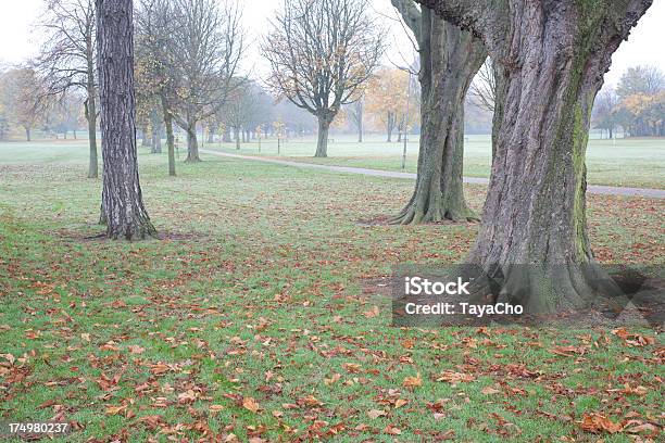 Photo libre de droit de Arbres Matures Dans Park banque d'images et plus d'images libres de droit de Arbre - Arbre, Automne, Entortillé