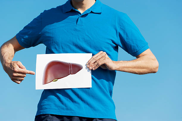 Pointing at liver stock photo