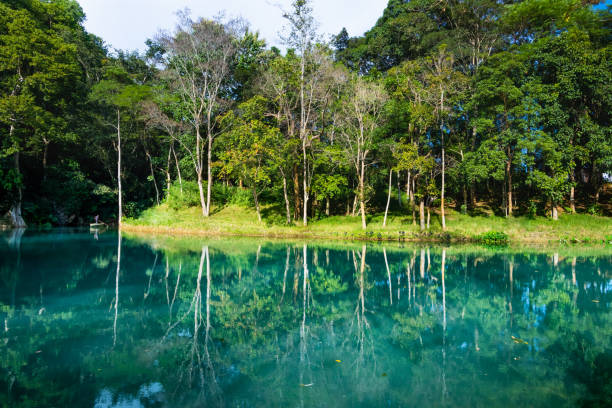 istock The emerald pool in Tham Luang - Khun Nam Nang Non Forest Park 1749804221