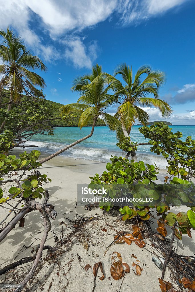 Paradiso di St. John - Foto stock royalty-free di Saint John - Isole Vergini