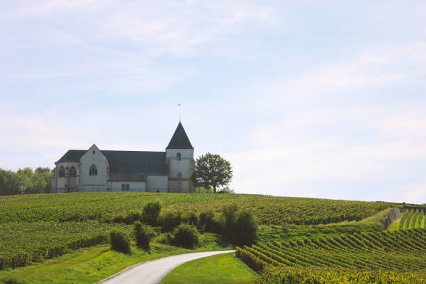 The Saint-Martin de Chavot church near Chavot-Courcourt surrounded by vineyards in the Champagne region in France.