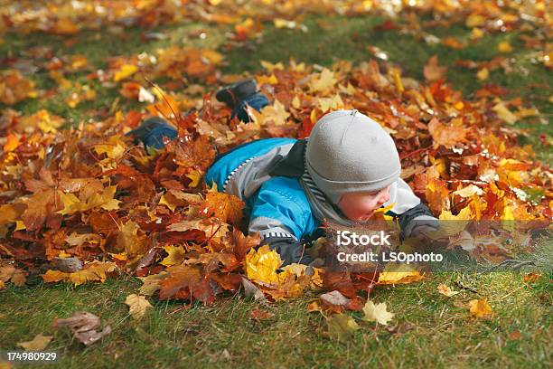 Ragazzo In Autunno Foglia - Fotografie stock e altre immagini di Allegro - Allegro, Ambientazione esterna, Autunno