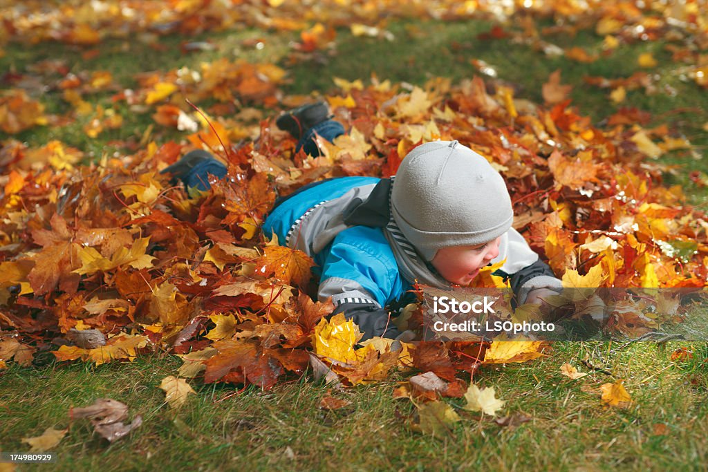 秋の葉の少年 - 1人のロイヤリティフリーストックフォト