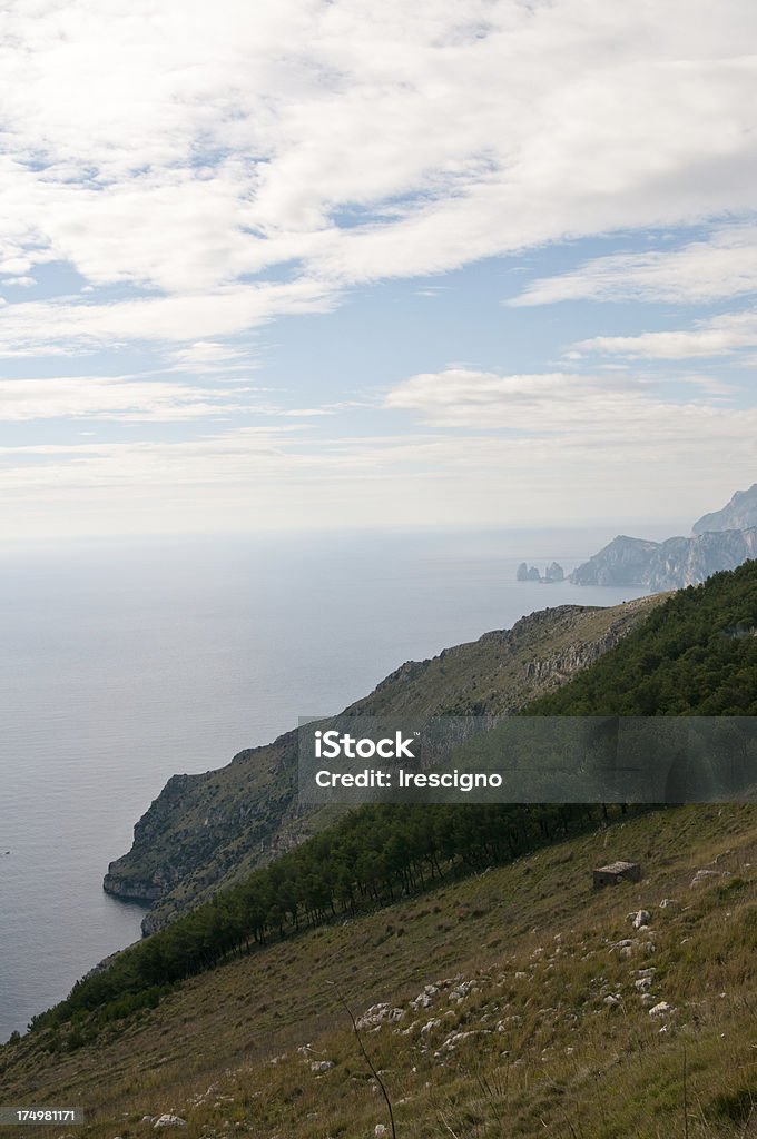 Massa Lubrense -Viewpoin San Costanzo-costa sorrentina - Foto stock royalty-free di Albero