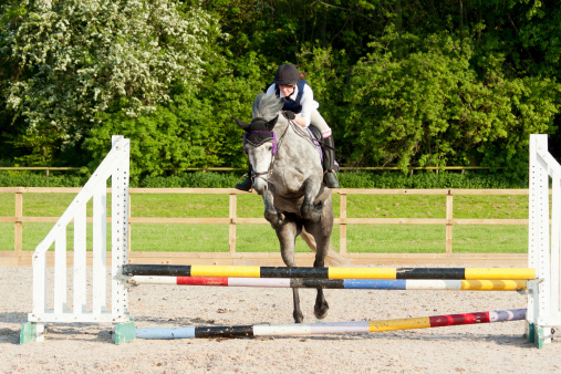 Beautiful dapple grey horse ridden by pretty young woman in show jumping competition in rural Shropshire.