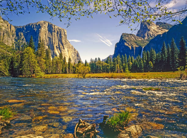 istock Yosemite National Park,California 1749814953