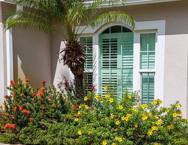 istock Window with  Shutters and Flowers 174981742