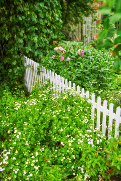 istock Beautiful flowers from my garden 1749821016