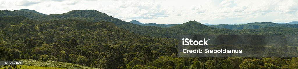 Subtropical Araucaria moist forests ecoregion of southern Brazil. "Tropical woodlands and hills in Santa Catarina, Brazil.The forest seen is part of the subtropical Araucaria moist forests ecoregion of southern Brazil." Forest Stock Photo