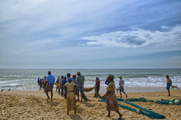 Sri Lankan fishermen catching fish. The net thrown from a boat has, maybe, half a km. They pull it to shore for at least 2 hours in 30 degrees. And the result is deplorable