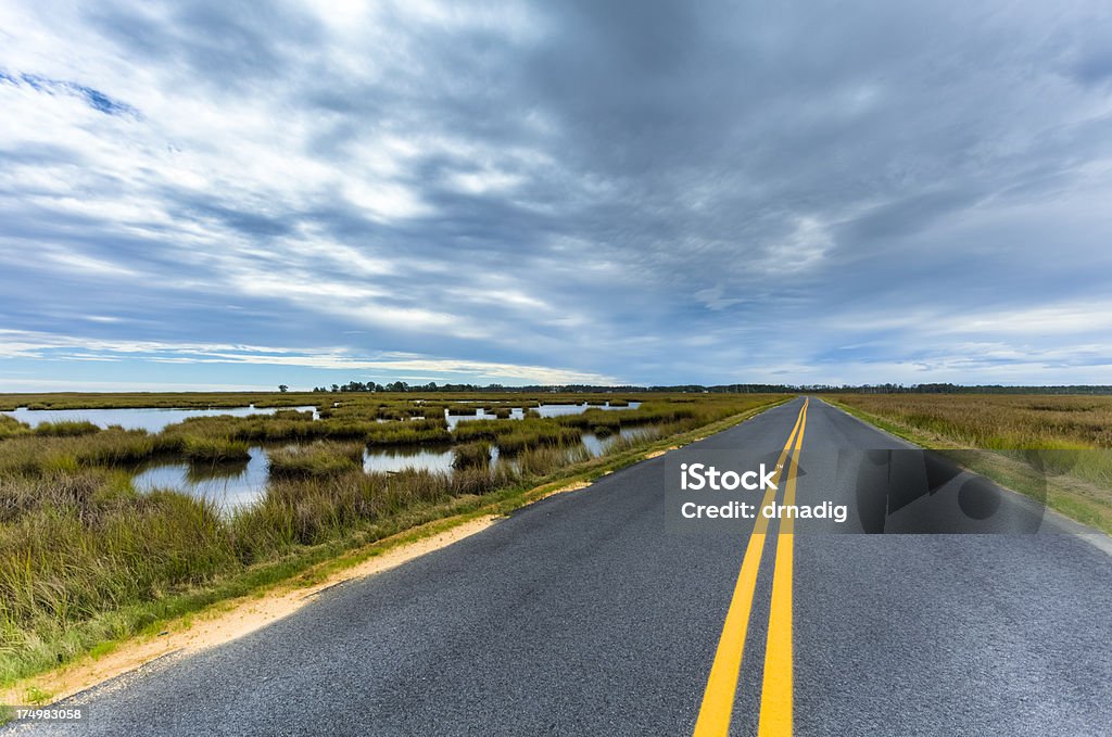 Estrada através de Marsh - Foto de stock de Estrada principal - Estrada royalty-free