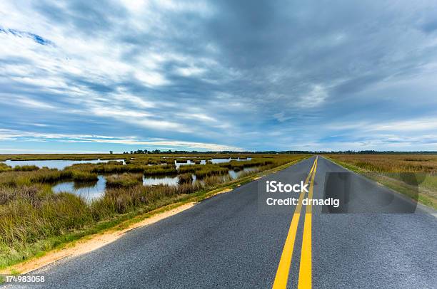 Foto de Estrada Através De Marsh e mais fotos de stock de Estrada principal - Estrada - Estrada principal - Estrada, Maryland - Estado, A caminho