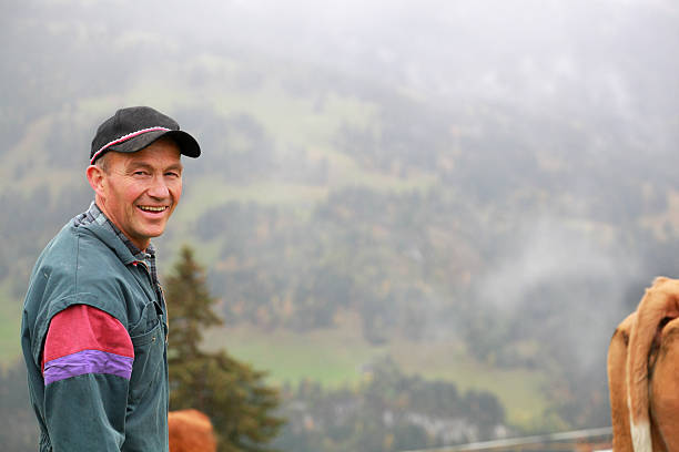 istock traditional farmer drives prize cow in misty hills 174983378