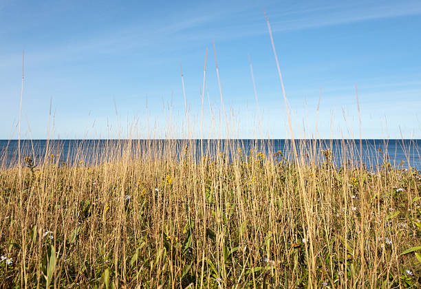 Cavendish Panorama Tall grass overlooking Prince Edward Island National Park at Cavendish. Horizontal.-For more Maritime Canada images, click here.  CANADA'S MARITIME PROVINCES  cavendish beach at prince edward island national park canada stock pictures, royalty-free photos & images