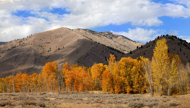 istock Autumn in Sun Valley 174984184