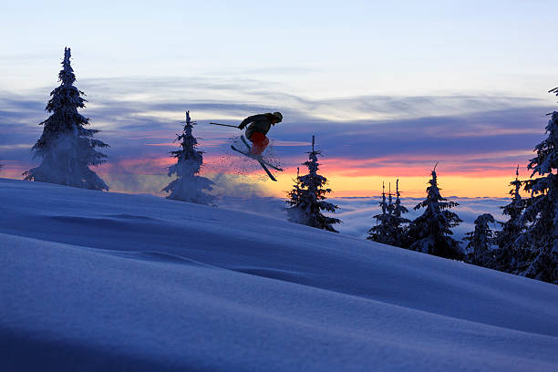 extreme freestyle nieve esquiador pist salto de esquí de fuera de pista - back country skiing fotos fotografías e imágenes de stock