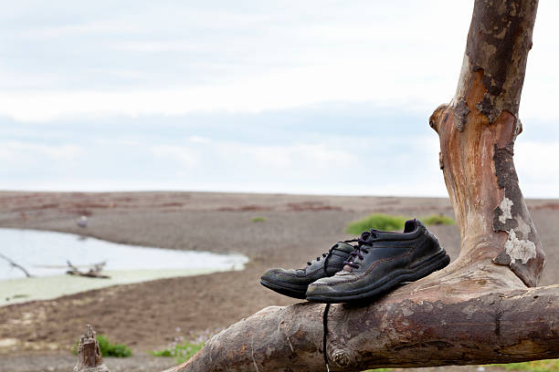 Scarpe a sinistra su un ramo della struttura ad albero - foto stock