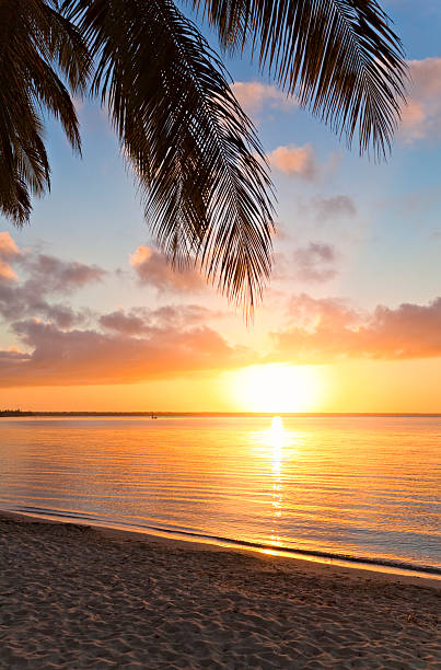 istock Sunrise in the tropics 174985216