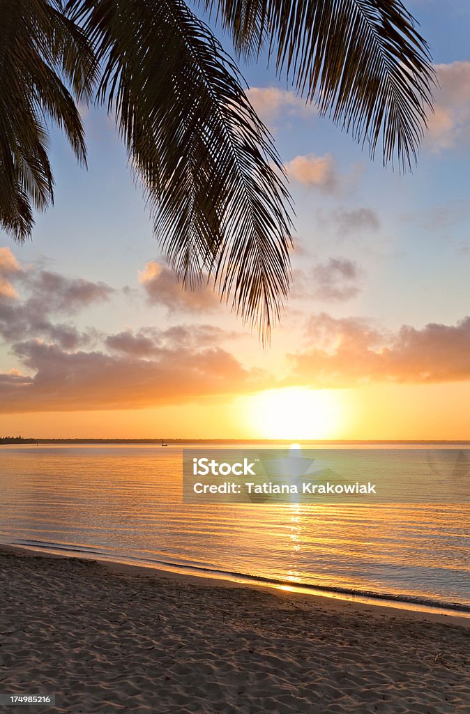 Nascer do sol no tropics - Royalty-free Palmeira Foto de stock