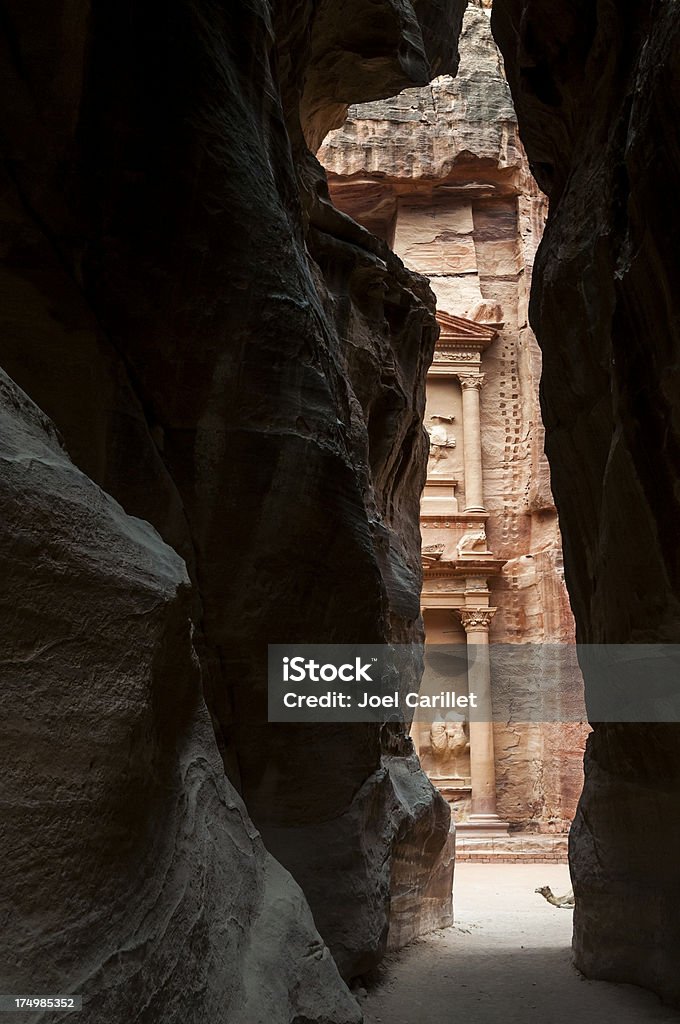 Camello en el Tesoro en Petra - Foto de stock de Aire libre libre de derechos