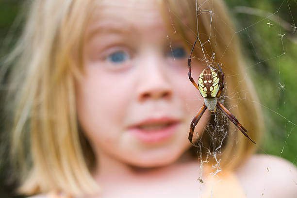 Fear of Spiders! "Young child surprised by a wasp spider, Argiope aurantia" yellow spider stock pictures, royalty-free photos & images