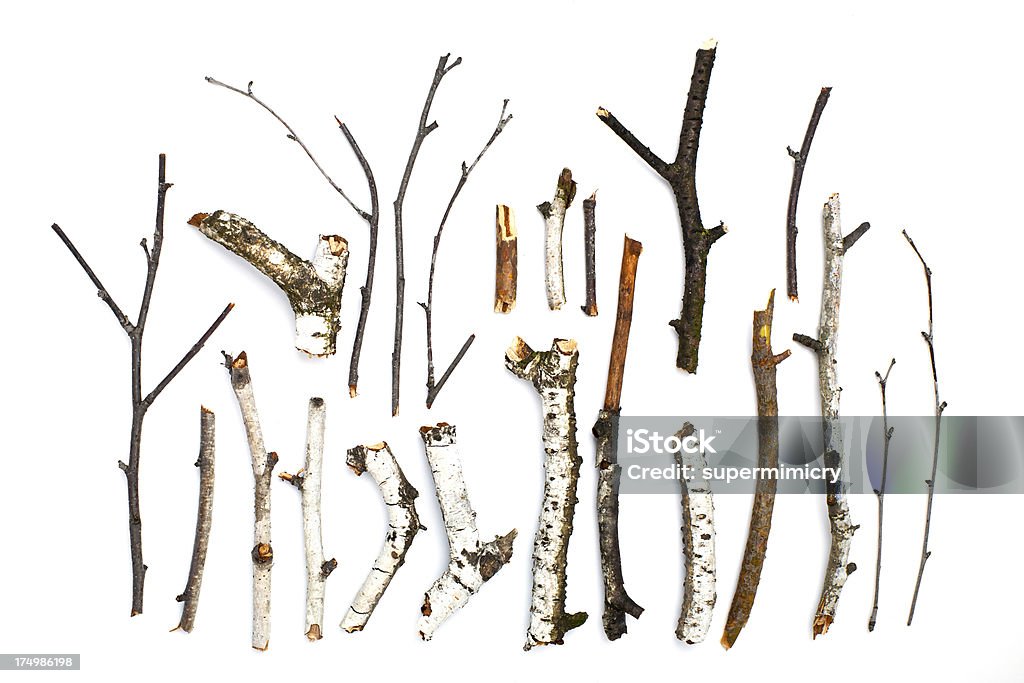 twigs and sticks on white background "twigs, sticks and branches on white background" Twig Stock Photo