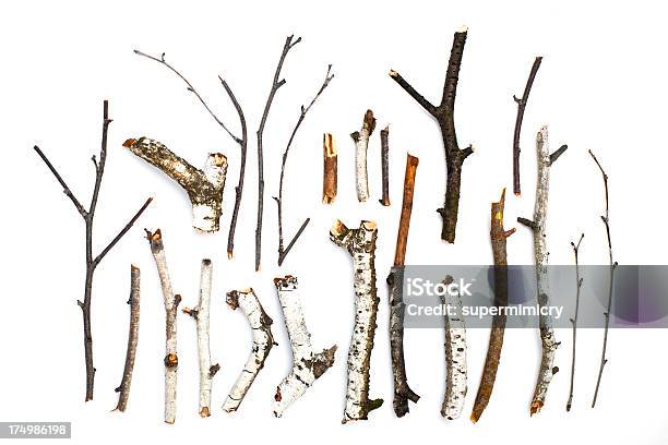 Twigs And Sticks On White Background Stock Photo - Download Image Now - Twig, Branch - Plant Part, Stick - Plant Part