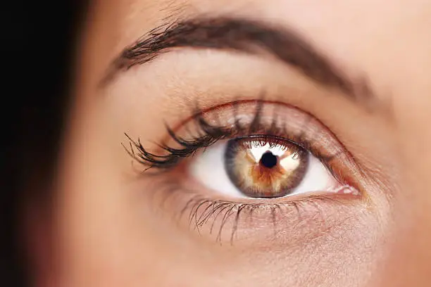 Cropped closeup of an attractive young woman's eye