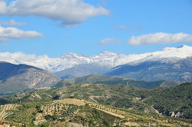 spanische sierra nevada mountains im frühling - spring tree orchard forest stock-fotos und bilder