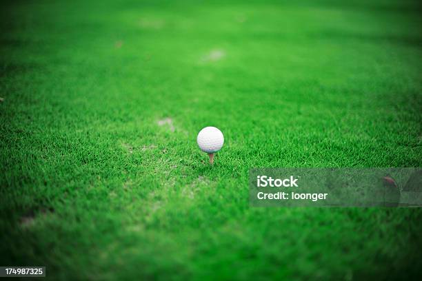 Branco Bola De Golfe No Tee - Fotografias de stock e mais imagens de Ao Ar Livre - Ao Ar Livre, Bola, Bola de Golfe