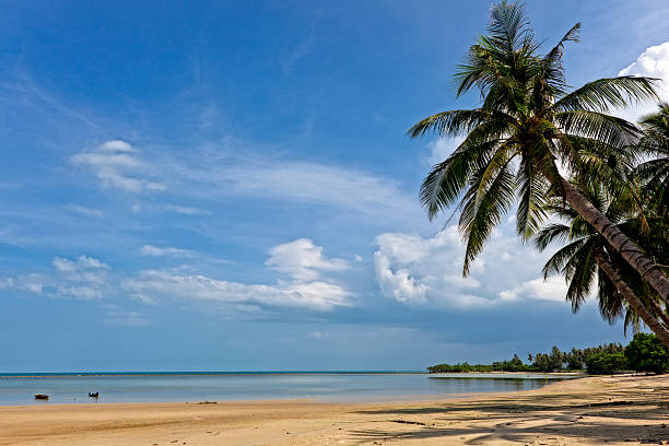 istock beach with coconut palm and sea 174987337