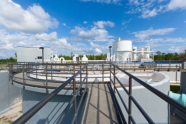 Clean Water Walkway leading to a filtering tank at a public water facility. aquatic plant stock pictures, royalty-free photos & images