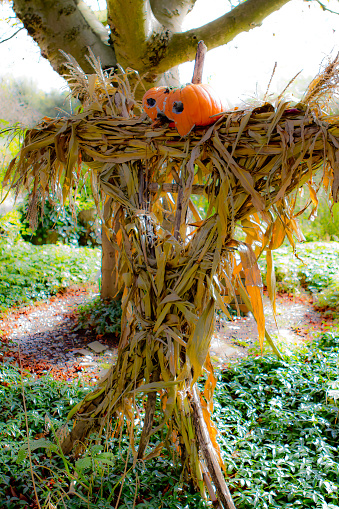 Doll made of straw and with a pumpkin as a head in an autumn garden