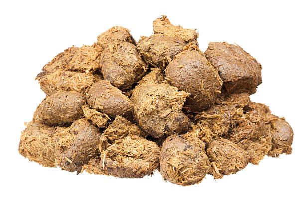 istock Horse dung isolated on white 174988637