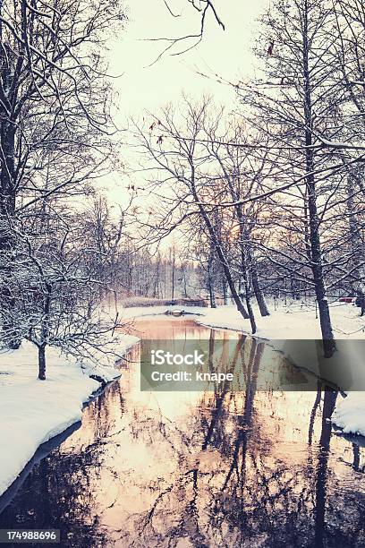 Inverno Na Suécia - Fotografias de stock e mais imagens de Ao Ar Livre - Ao Ar Livre, Azul, Beleza
