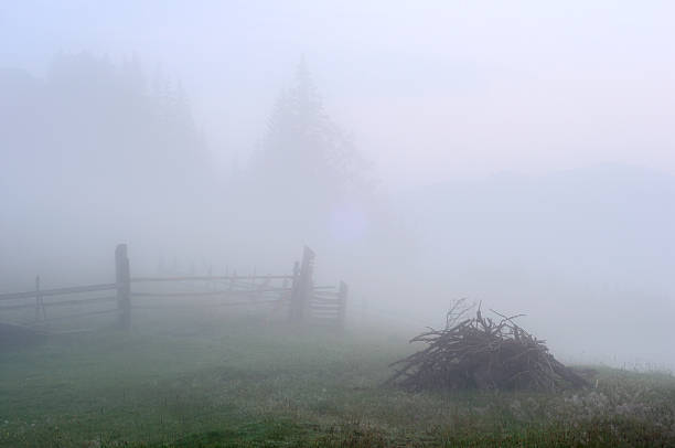 istock Rural landscape in morning misty twilight 174988760