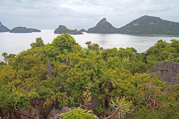 앙텅 해양 국립 공원 - ang thong islands 뉴스 사진 이미지