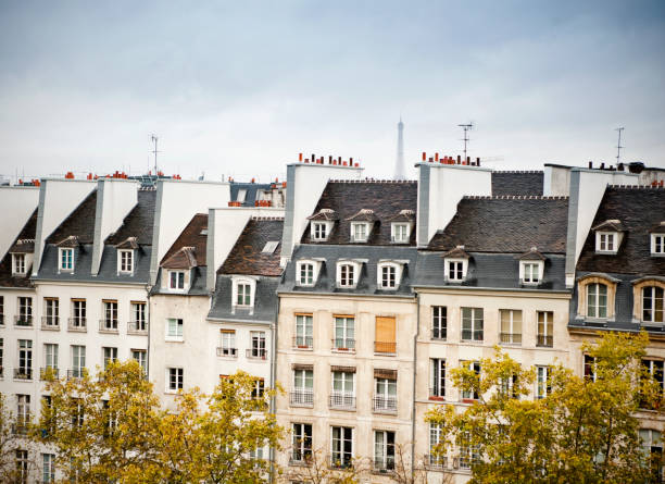 istock Houses in Paris 174989289