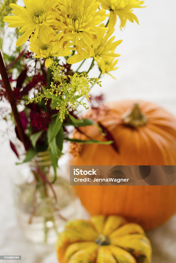 Otoño de calabaza centro - Foto de stock de Amarillo - Color libre de derechos