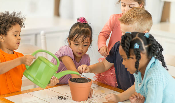 école maternelle - preschooler plant preschool classroom photos et images de collection