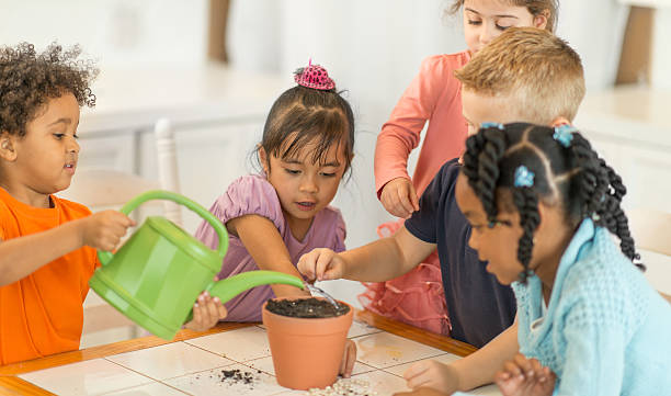 infantário - preschooler plant preschool classroom imagens e fotografias de stock