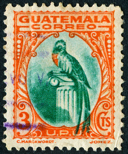 Quetzal Stamp Cancelled Stamp From Guatemala Featuring The National Bird Of Guatemala The Quetzal puerto quetzal guatemala stock pictures, royalty-free photos & images