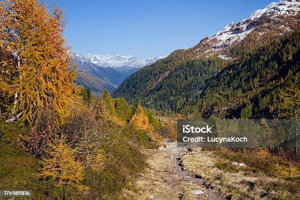 Foto de Outono Na Montanha e mais fotos de stock de Alpes europeus - Alpes europeus, Alpes suíços, Amarelo