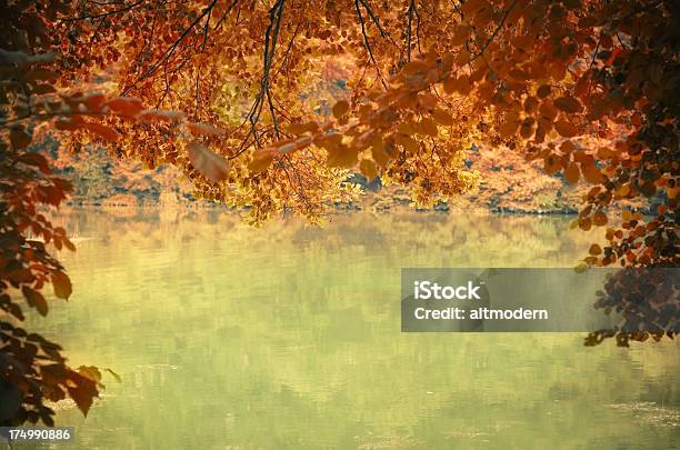 Jesień - zdjęcia stockowe i więcej obrazów Abstrakcja - Abstrakcja, Brązowy, Czerwony