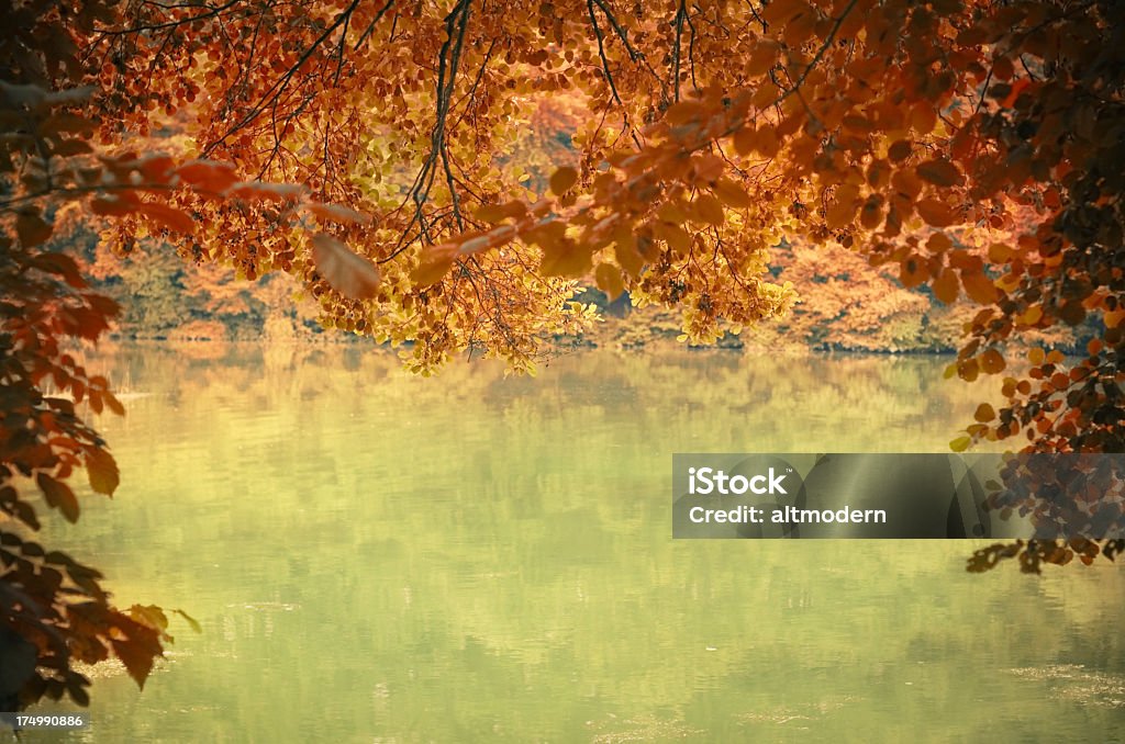Outono nos EUA - Foto de stock de Abstrato royalty-free