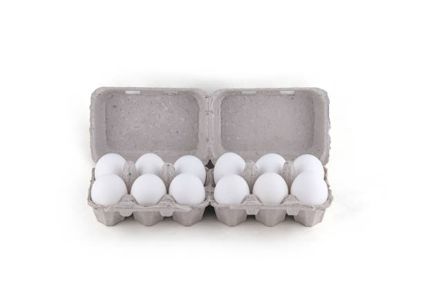 istock Egg box, stock photo, empty egg carton, close up of white eggs 1749909247