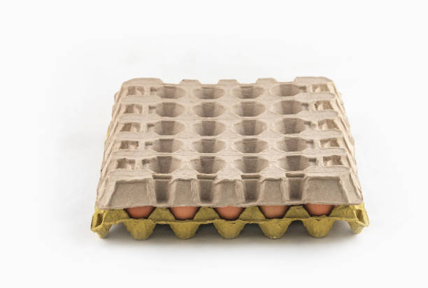 istock Egg carton. stock photo Empty egg carton. Studio photo 1749912474