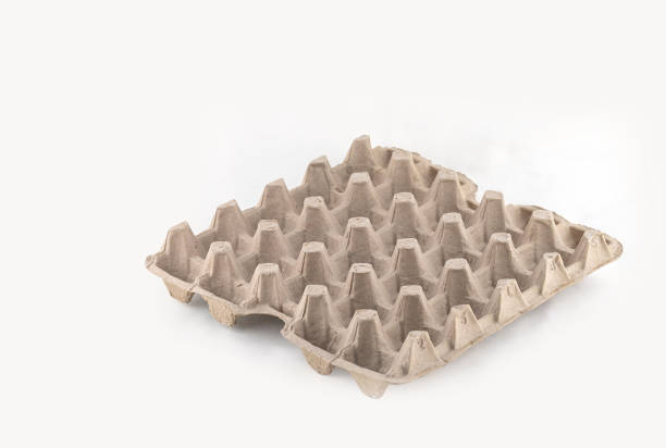 istock Egg carton. stock photo Empty egg carton. Studio photo 1749913028